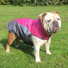 Waterproof Outdoor Pet Raincoat and Insulated Jacket
